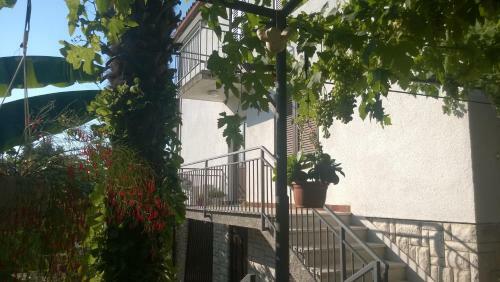 Apartment Luce
