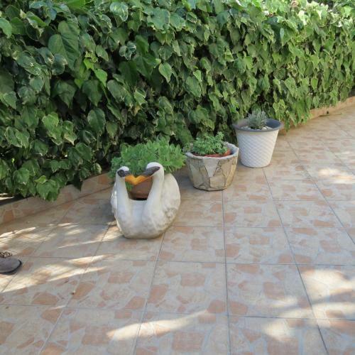 Hostal Guesthouse Vrlic