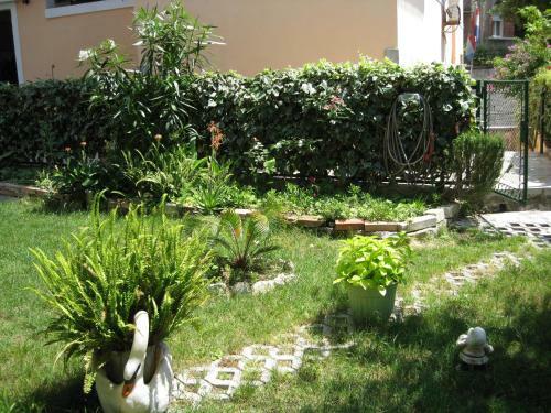 Hostal Guesthouse Vrlic