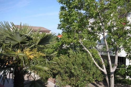 Apartment Biograd Na Moru 6152b