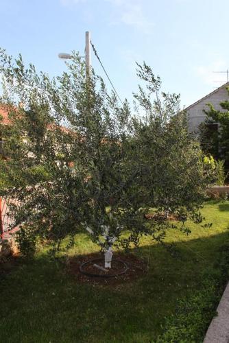 Apartment Biograd Na Moru 6152c