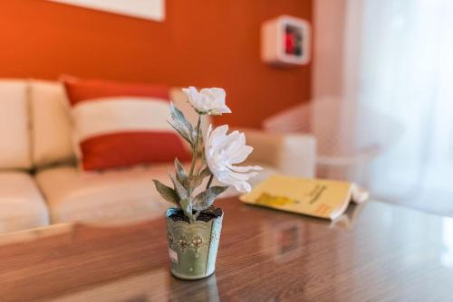 Apartments Villa Maelise