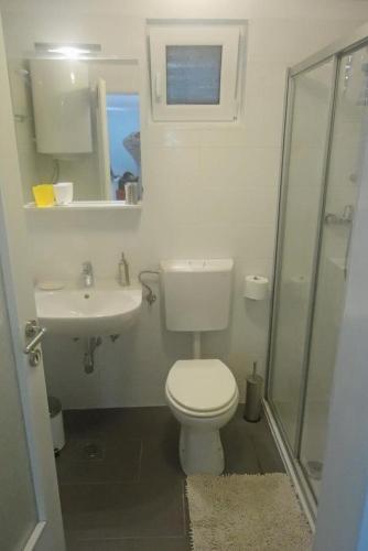 Apartment Selce 5531a