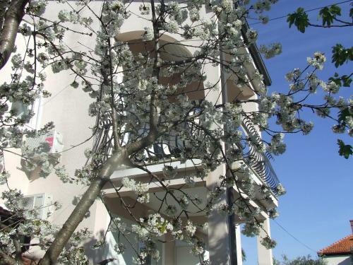 Apartamentos Villa Dalmatia