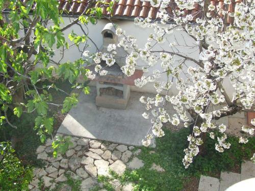 Apartamentos Villa Dalmatia