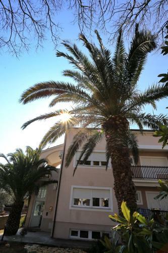 Apartamentos Villa Dalmatia