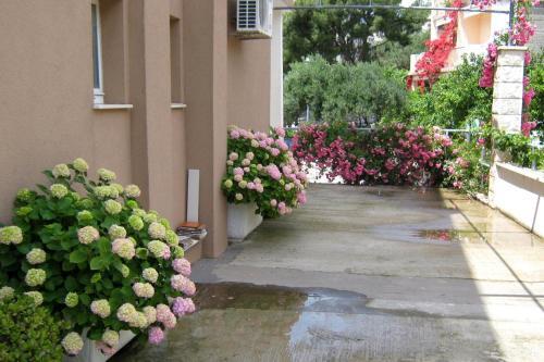 Apartment Podgora 2615d