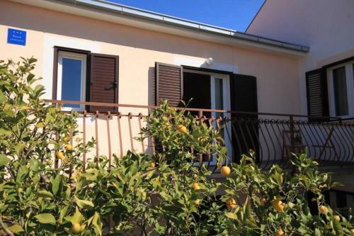 Apartments With A Parking Space Slatine (ciovo) - 8658