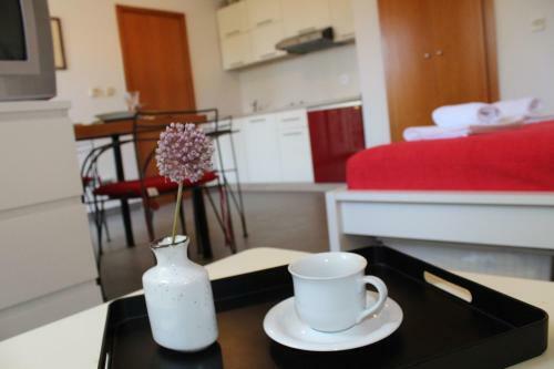 Apartments Pinewood Villa