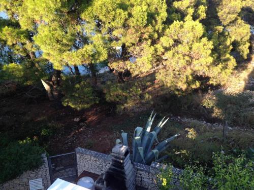Apartments By The Sea Rogoznica - 11425