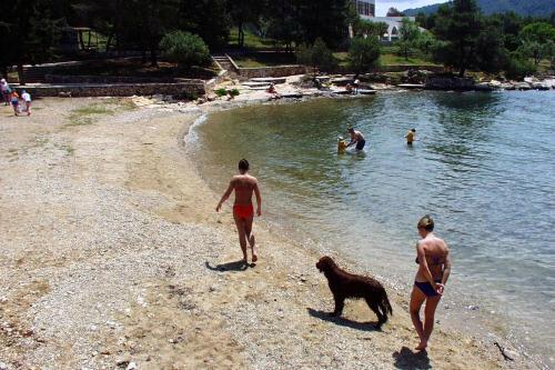 Apartment Stari Grad 8686b