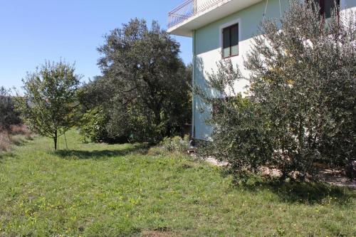 Apartment Bibinje 5753a