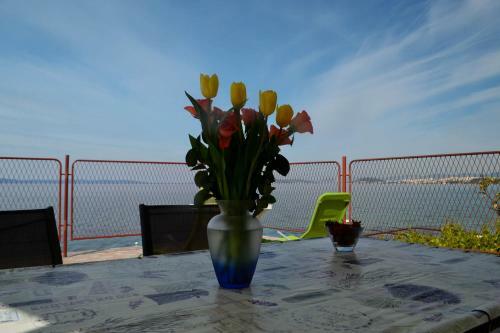 Apartment Aneta