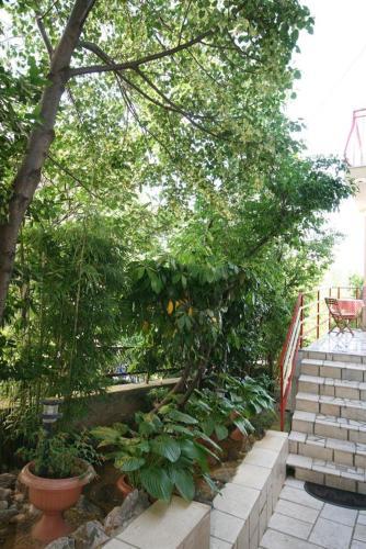 Apartment Novi Vinodolski 2419c