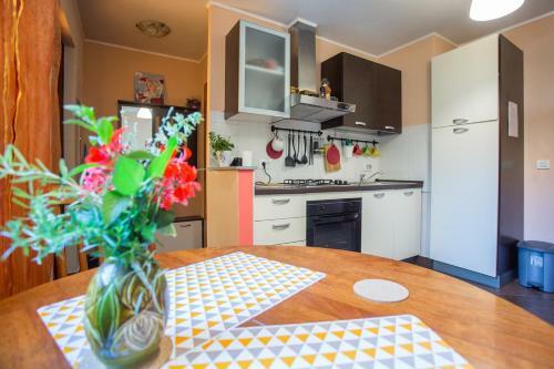 Apartment Pipo