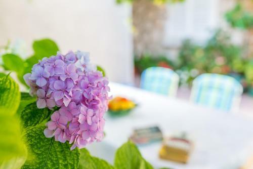 Hostal Guesthouse Ava