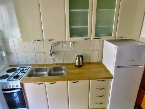 Apartment Pasa