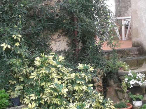 Bed & Breakfast Casa Pisanu