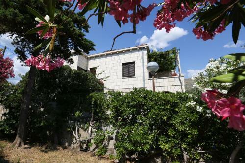 Hostal House Cvetka