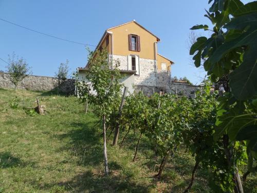 Apartamentos Summer Residence Illyria