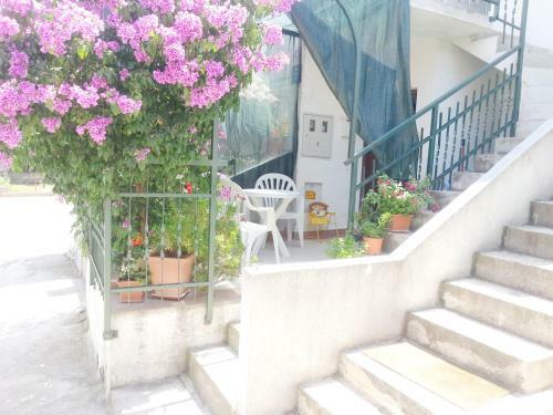 Apartment Bello