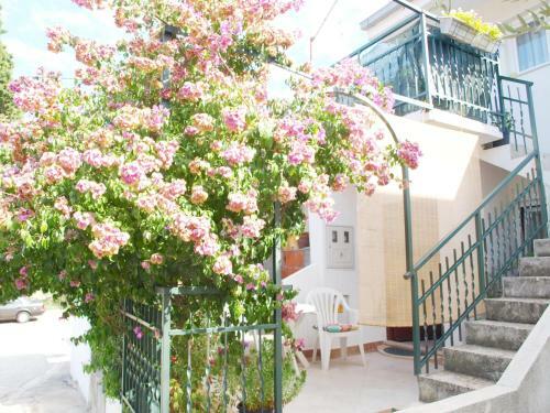 Apartment Bello