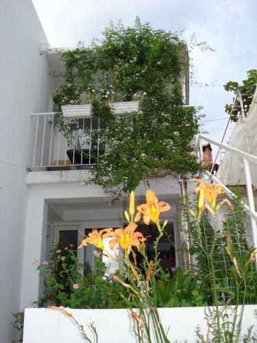 Mirjana Apartment