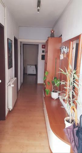 Mirjana Apartment
