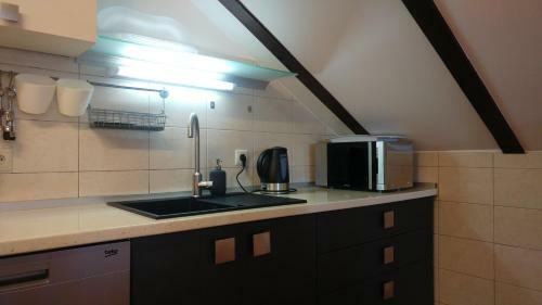 Apartment Skorin