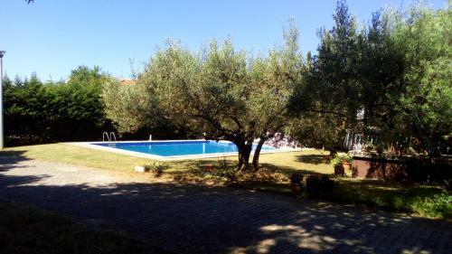Apartment Dragica