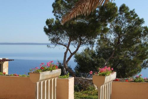 Apartment Mali Losinj 8027a
