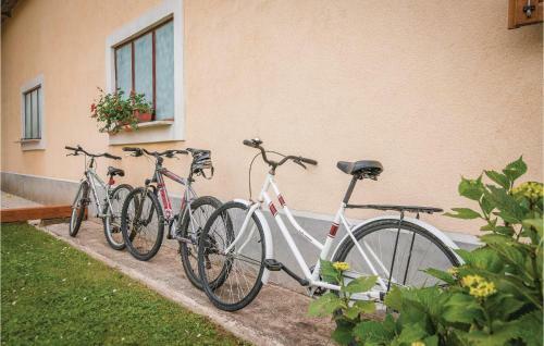 Holiday Home Pazin 06