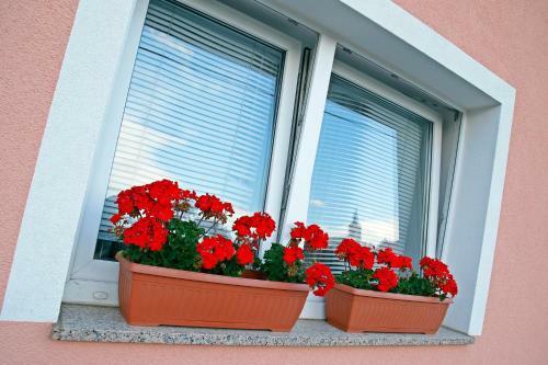 Hostal Apartment Lalita