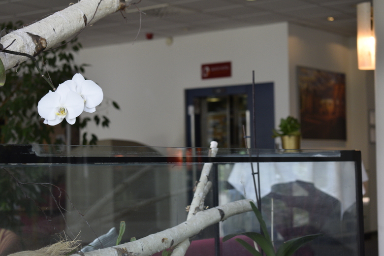 Quality Hotel Dresden West