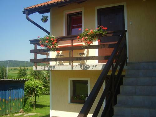 Apartamentos House Petra