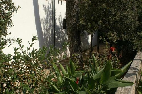 Apartments By The Sea Mirca (brac) - 2902