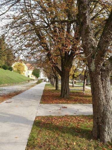 Apartment Slavica