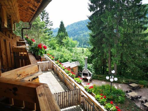 Hotel Ribno