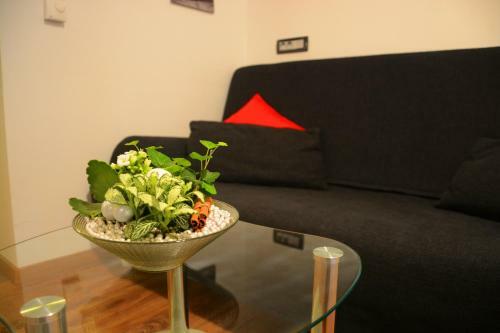 Apartment Arpa
