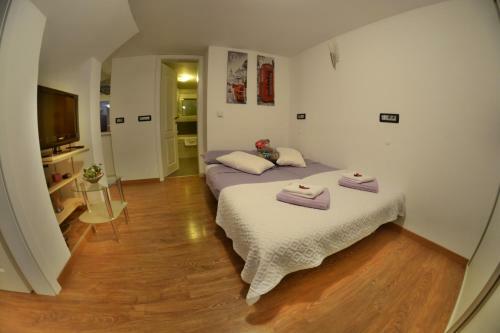 Apartment Arpa