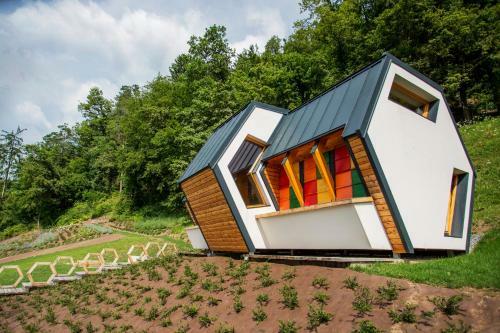 Apartments Beeland Skok