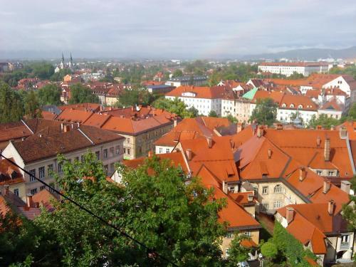 Apartment Tagrajska
