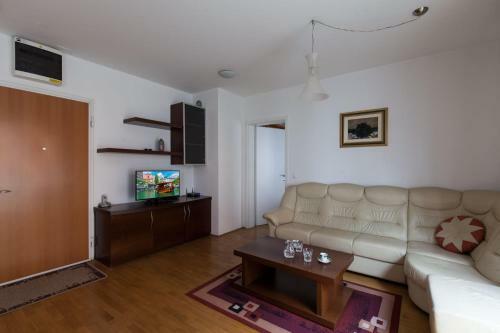 Central Apartment Anita