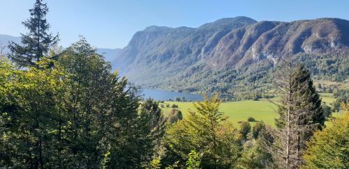 Hotel Center Bohinjsko Jezero