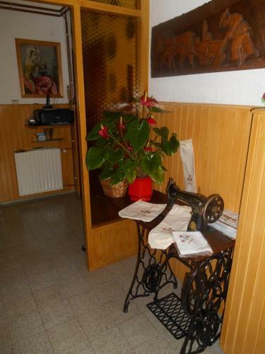 Hostal Apartments & Rooms Preseren