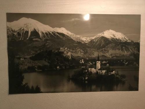 Hostal Apartments & Rooms Preseren