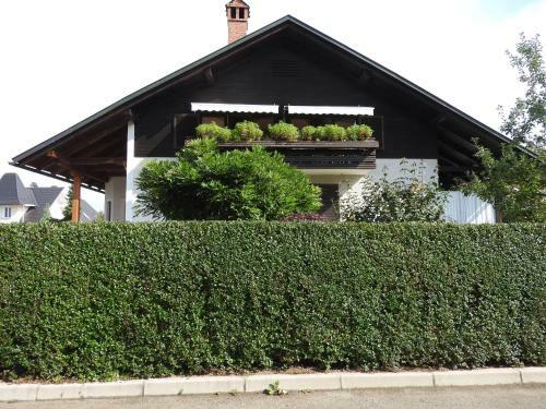 Hostal Guest House Vera