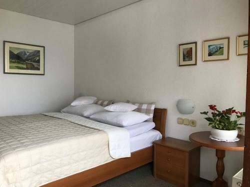 Apartmaji Su?nik
