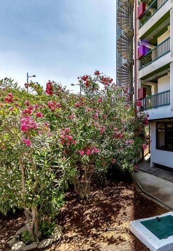 Apartamento Vi�a Del Mar Ocean
