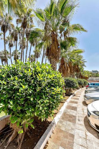 Apartamento Vi�a Del Mar Ocean